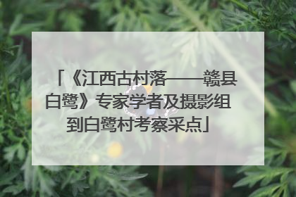《江西古村落——赣县白鹭》专家学者及摄影组到白鹭村考察采点