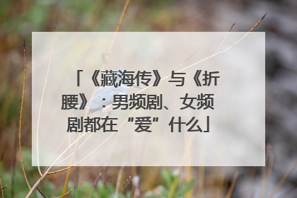 《藏海传》与《折腰》：男频剧、女频剧都在“爱”什么