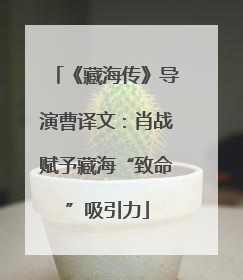 《藏海传》导演曹译文：肖战赋予藏海“致命”吸引力