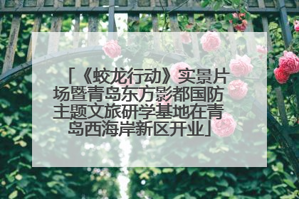 《蛟龙行动》实景片场暨青岛东方影都国防主题文旅研学基地在青岛西海岸新区开业