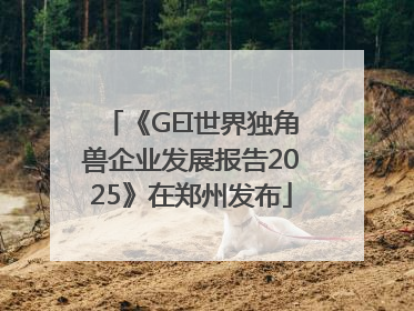 《GEI世界独角兽企业发展报告2025》在郑州发布