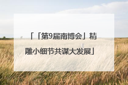 「第9届南博会」精雕小细节共谋大发展