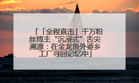「全程直击」千万粉丝博主“沉浸式”舌尖溯源：在金龙鱼外婆乡工厂寻回记忆中
