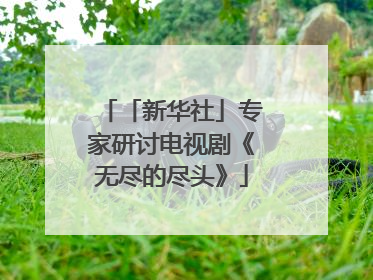 「新华社」专家研讨电视剧《无尽的尽头》