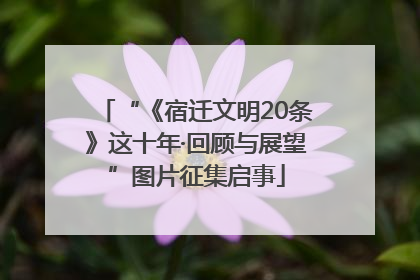 “《宿迁文明20条》这十年·回顾与展望”图片征集启事