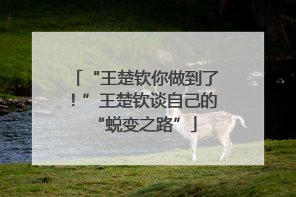 “王楚钦你做到了！”王楚钦谈自己的“蜕变之路”