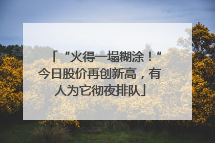 “火得一塌糊涂！”今日股价再创新高，有人为它彻夜排队