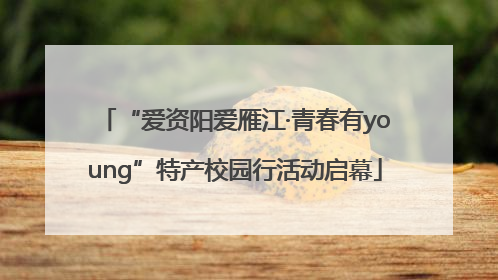 “爱资阳爱雁江·青春有young”特产校园行活动启幕