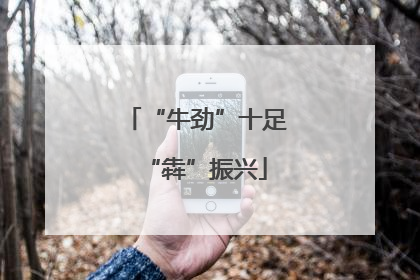 “牛劲”十足“犇”振兴