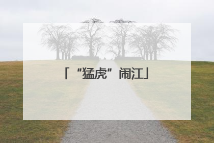 “猛虎”闹江