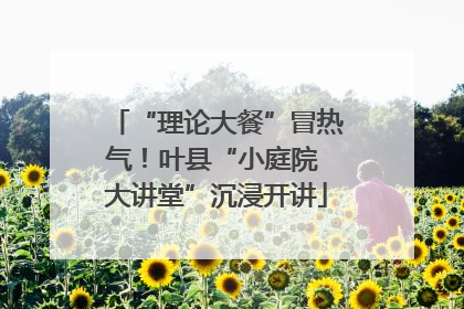 “理论大餐”冒热气！叶县“小庭院 大讲堂”沉浸开讲