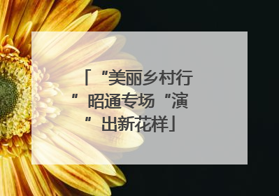 “美丽乡村行”昭通专场“演”出新花样