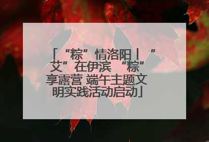 “粽”情洛阳丨“艾”在伊滨 “粽”享露营 端午主题文明实践活动启动