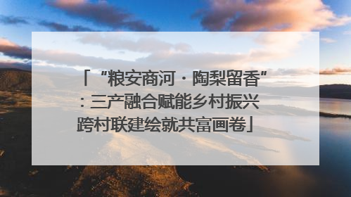 “粮安商河・陶梨留香”：三产融合赋能乡村振兴 跨村联建绘就共富画卷