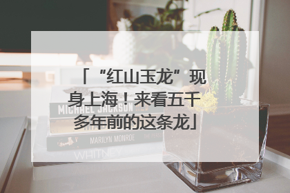“红山玉龙”现身上海！来看五千多年前的这条龙