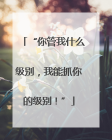 “你管我什么级别，我能抓你的级别！”