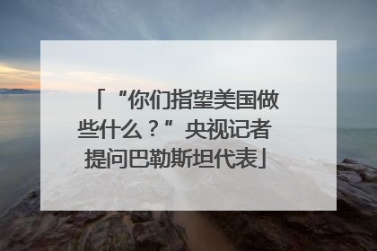 “你们指望美国做些什么？”央视记者提问巴勒斯坦代表