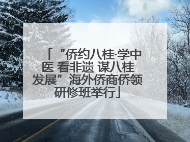 “侨约八桂·学中医 看非遗 谋八桂发展”海外侨商侨领研修班举行