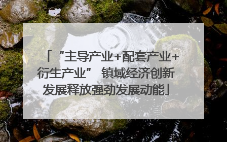 “主导产业+配套产业+衍生产业” 镇域经济创新发展释放强劲发展动能