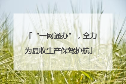 “一网通办”，全力为夏收生产保驾护航