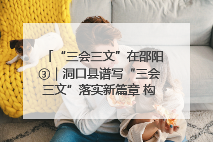 “三会三文”在邵阳③｜洞口县谱写“三会三文”落实新篇章 构建协同联动大格局