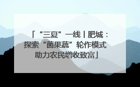 “三夏”一线丨肥城：探索“菌果蔬”轮作模式 助力农民增收致富