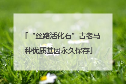 “丝路活化石”古老马种优质基因永久保存
