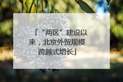 “两区”建设以来，北京外贸规模跨越式增长