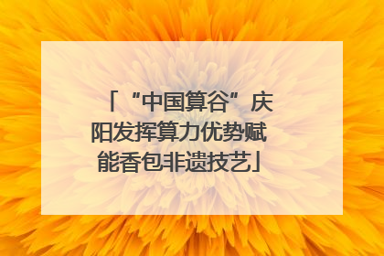 “中国算谷”庆阳发挥算力优势赋能香包非遗技艺