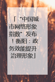 “中国城市网络形象指数”发布！衡阳：政务效能提升治理形象