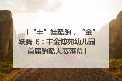 “丰”娃酷跑，“金”跃腾飞：丰金博苑幼儿园首届跑酷大赛落幕