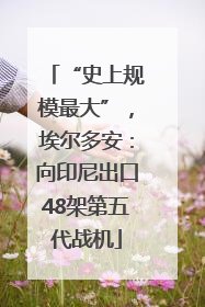 “史上规模最大”，埃尔多安：向印尼出口48架第五代战机