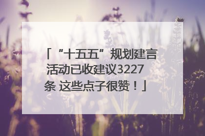 “十五五”规划建言活动已收建议3227条 这些点子很赞！
