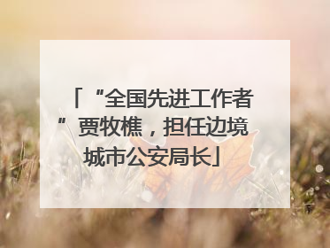 “全国先进工作者”贾牧樵，担任边境城市公安局长