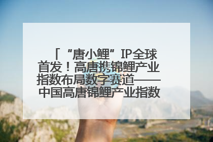 “唐小鲤”IP全球首发！高唐携锦鲤产业指数布局数字赛道——中国高唐锦鲤产业指数暨“唐小鲤”IP全球首发仪式在杭州举行