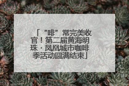 “啡”常完美收官！第二届黄海明珠・凤凰城市咖啡季活动圆满结束
