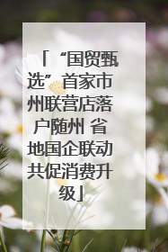 “国贸甄选”首家市州联营店落户随州 省地国企联动共促消费升级