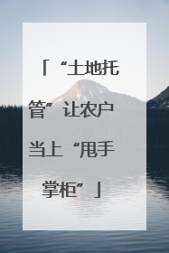 “土地托管”让农户当上“甩手掌柜”