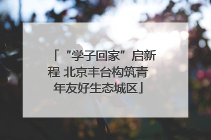 “学子回家”启新程 北京丰台构筑青年友好生态城区