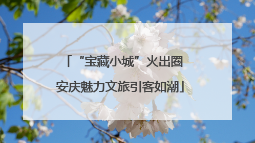 “宝藏小城”火出圈 安庆魅力文旅引客如潮