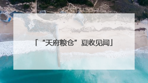 “天府粮仓”夏收见闻