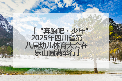 “奔跑吧・少年”2025年四川省第八届幼儿体育大会在乐山圆满举行