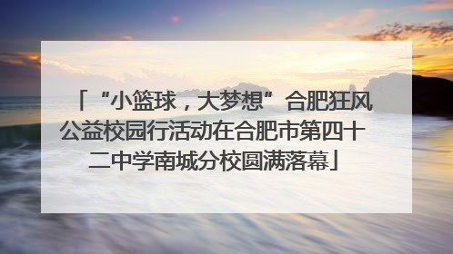 “小篮球，大梦想”合肥狂风公益校园行活动在合肥市第四十二中学南城分校圆满落幕