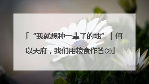 “我就想种一辈子的地”｜何以天府，我们用粮食作答②