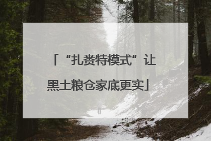 “扎赉特模式”让黑土粮仓家底更实