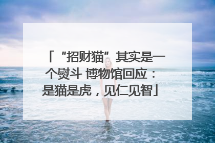 “招财猫”其实是一个熨斗 博物馆回应：是猫是虎，见仁见智