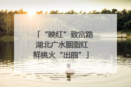 “映红”致富路 湖北广水胭脂红鲜桃火“出圈”