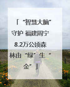 “智慧大脑”守护 福建周宁8.2万公顷森林由“绿”生“金”