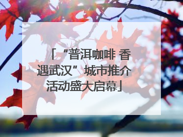 “普洱咖啡 香遇武汉”城市推介活动盛大启幕
