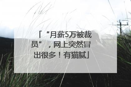 “月薪5万被裁员”，网上突然冒出很多！有猫腻